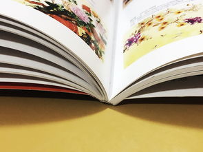 成都百鉑文化 專業(yè)打造家具家居產(chǎn)品宣傳畫冊，賦能品牌形象